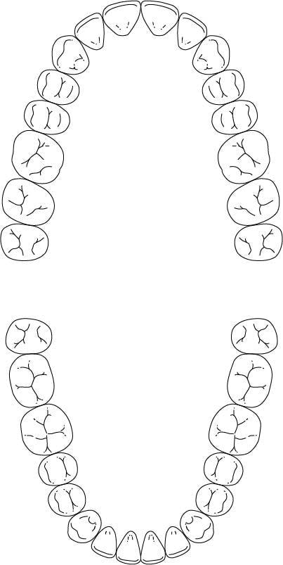 歯式図2