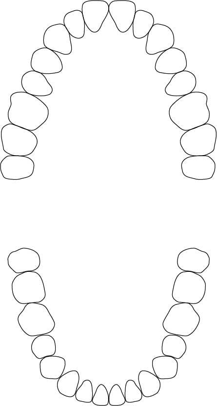 歯式図5
