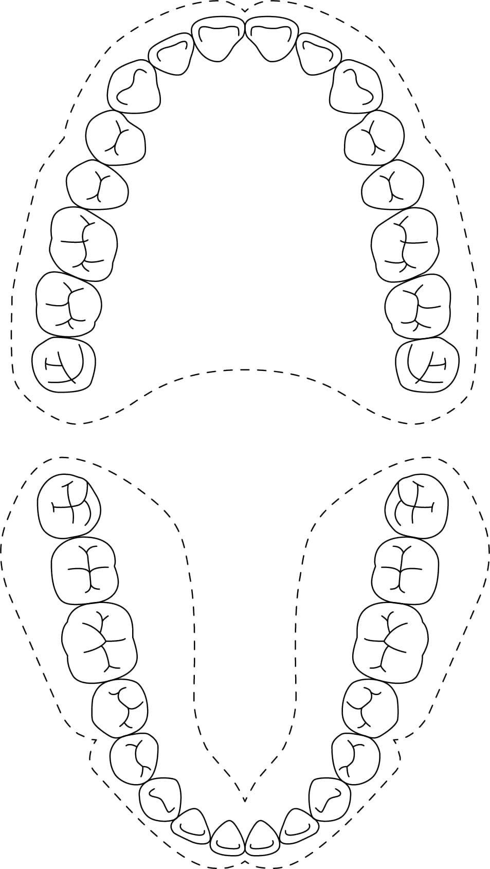 歯式図10