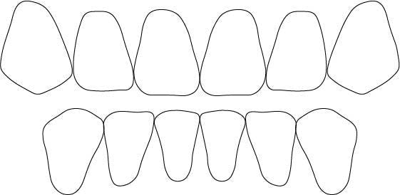 歯式図12
